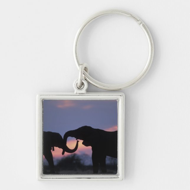 Botswana, Chobe National Park, Elephants Key Ring (Front)
