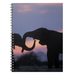 Botswana, Chobe National Park, Elephants Spiral Notebook