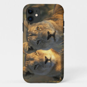 Botswana, Chobe National Park, Lionesses Case-Mate iPhone Case