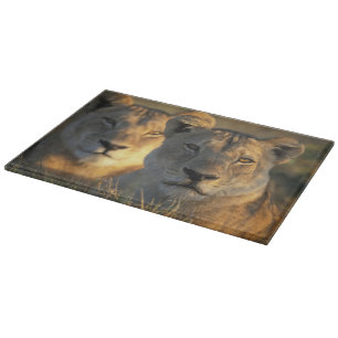 Botswana, Chobe National Park, Lionesses Cutting Board