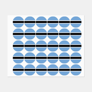 Botswana flag