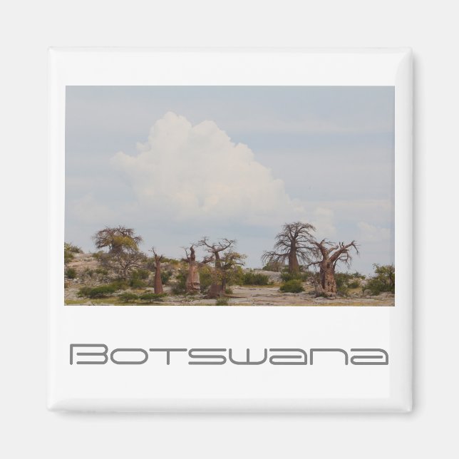 Botswana Kubu Baobab Island Go Travel Magnet (Front)