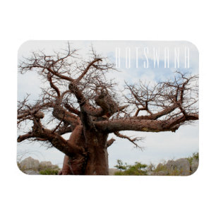 Botswana Kubu Baobab Island Go Travel Magnet