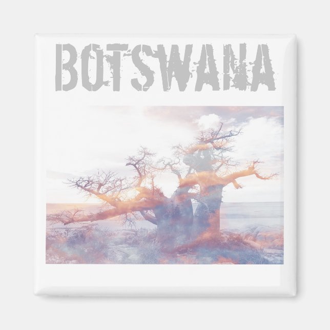 Botswana Kubu Island Baobab Tree Magnet (Front)
