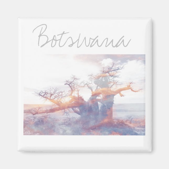 Botswana Kubu Island Baobab Tree Magnet (Front)