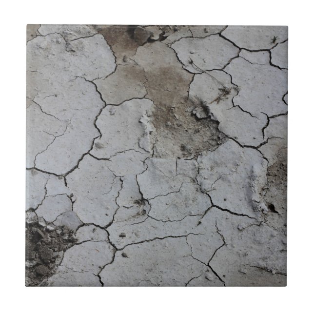 Botswana Landscape Salt Pans Cracked Dry Mud Tile (Front)