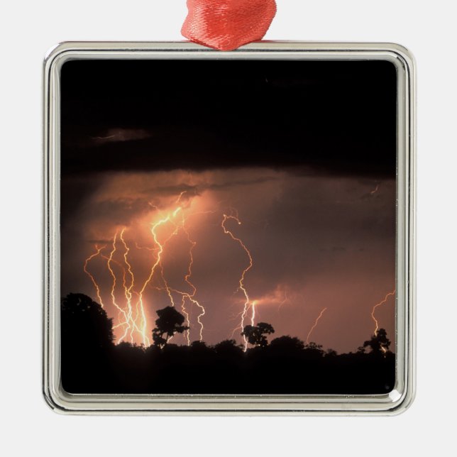 Botswana, Moremi Game Reserve, Lightning fills Metal Tree Decoration (Front)