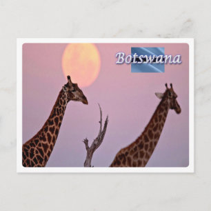Botswana - postcard