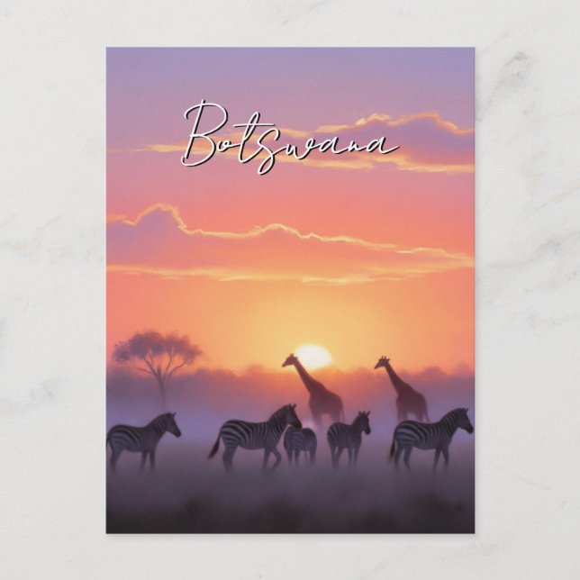 Botswana sunset travel postcard (Front)
