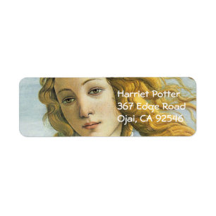 Botticelli Birth of Venus Renaissance Fine Art