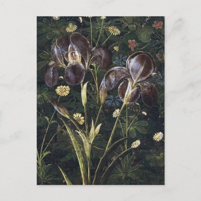 Botticelli Irises Postcard (Front)