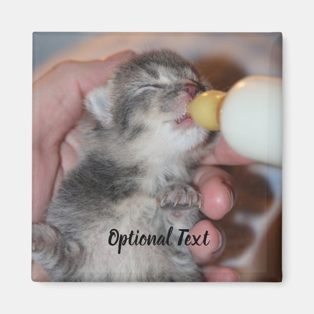 Bottle Feeding Newborn Rescue Tabby Kitten Magnet (Front)