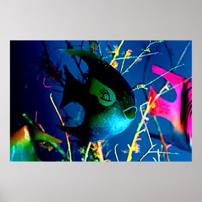 BOTTLE FISH Colossal 72" x 52" jGibney Giclée Art Poster (Front)