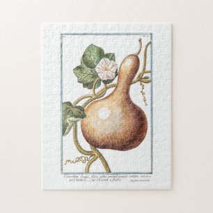 Bottle Gourd by Giorgio Bonelli Jigsaw Puzzle