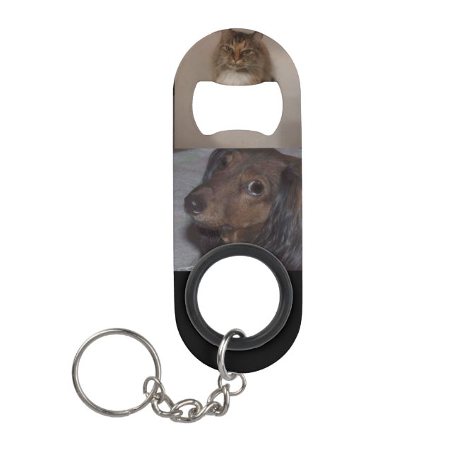 Bottle Opener-Key Chain, dogs and cats (Front)