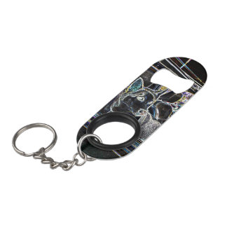 Bottle opener key ring