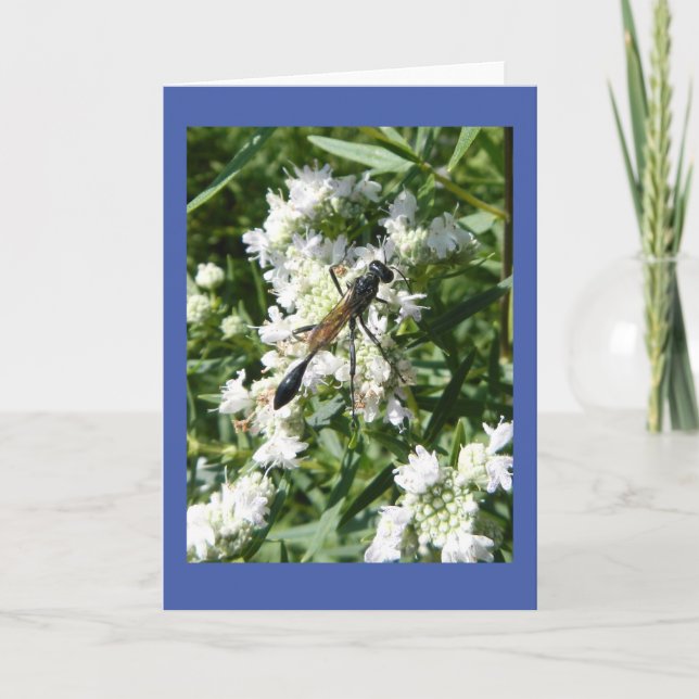 Bottle Wasp on Mountain Mint Blank Note Card (Front)