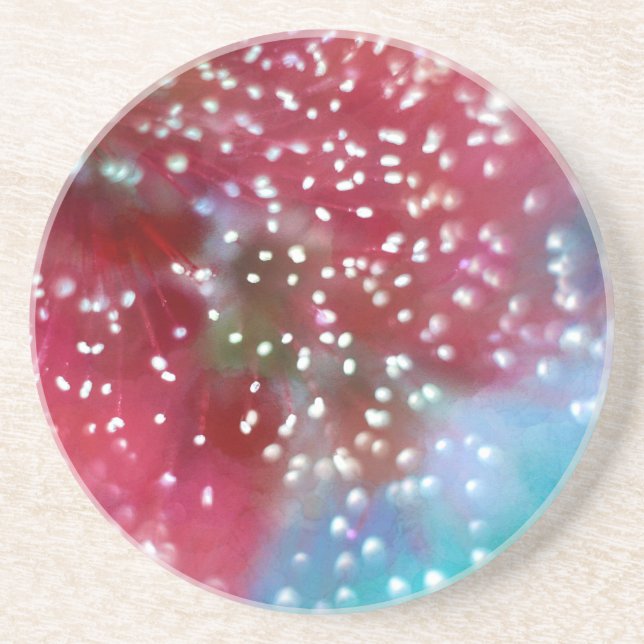 Bottlebrush Flower Abstract Coaster (Front)
