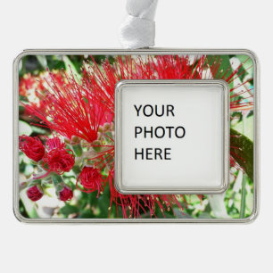 Bottlebrush Flower Red Tropical Floral Silver Plated Framed Ornament