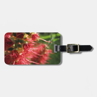 Bottlebrush Tendrils Luggage Tag