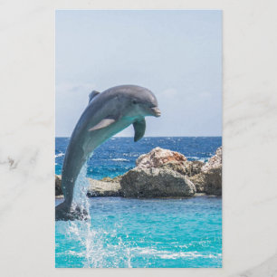 Bottlenose Dolphin