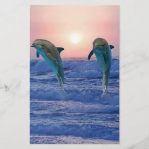 Bottlenose Dolphin at Sunrise