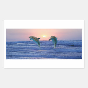 Bottlenose Dolphin at Sunrise Rectangular Sticker