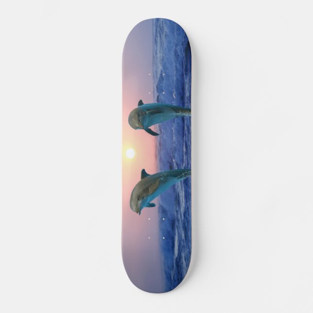 Bottlenose Dolphin at Sunrise Skateboard (Front)