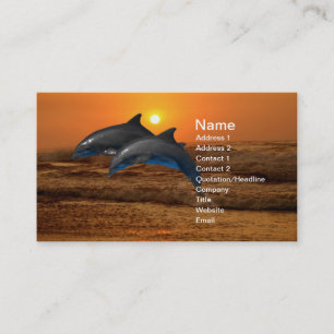 Bottlenose Dolphin at Sunset Business Card