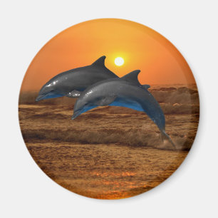 Bottlenose Dolphin at Sunset Magnet