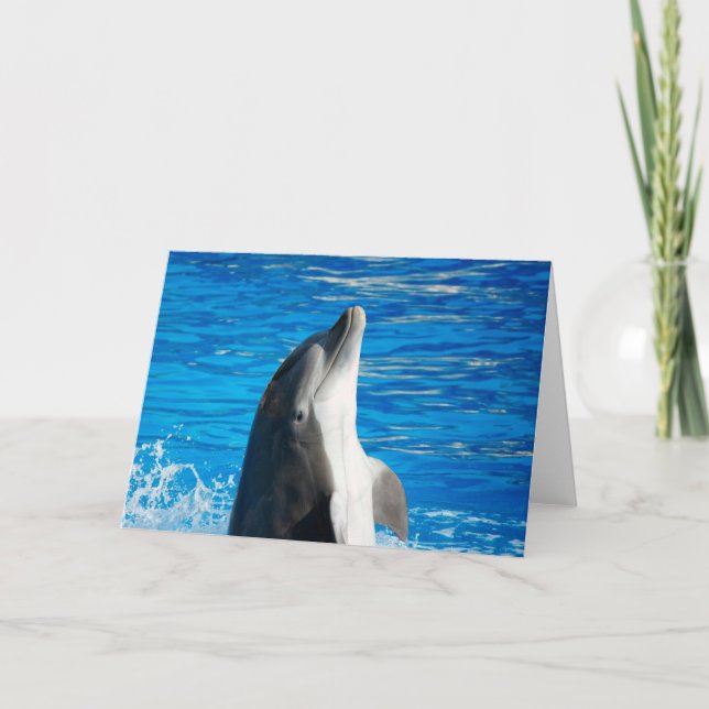 Bottlenose Dolphin Card (Front)