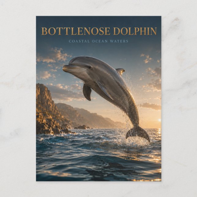 Bottlenose Dolphin Coastal Ocean ANIMALS Postcard (Front)