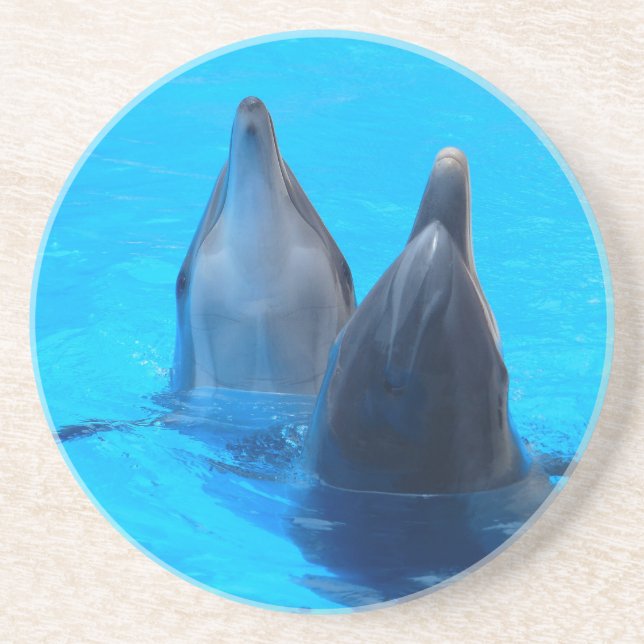 bottlenose dolphin fish marine ocean under water coaster (Front)
