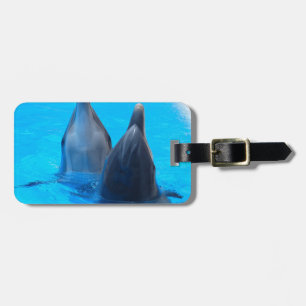 bottlenose dolphin fish marine ocean under water luggage tag