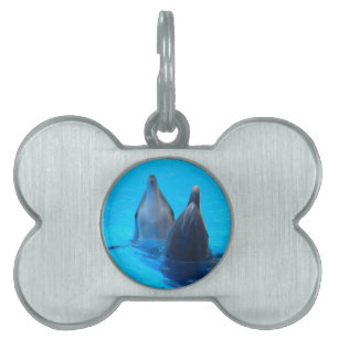 bottlenose dolphin fish marine ocean under water pet name tag