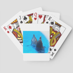 bottlenose dolphin fish marine ocean under water playing cards