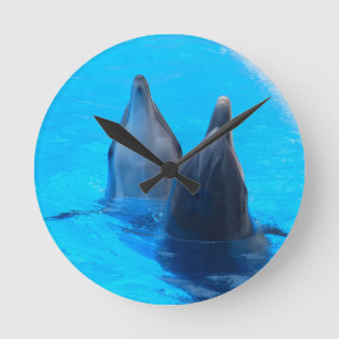 bottlenose dolphin fish marine ocean under water round clock