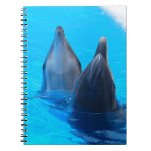 bottlenose dolphin fish marine ocean under water spiral notebook