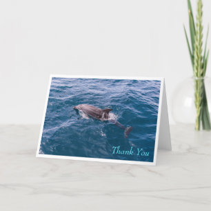 Bottlenose Dolphin Greeting Card