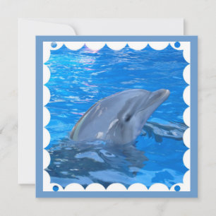 Bottlenose Dolphin Invitation