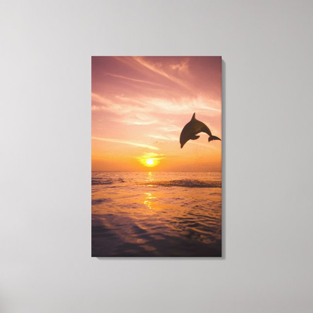 Bottlenose Dolphin jumping 2 Canvas Print (Front)