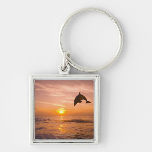 Bottlenose Dolphin jumping 2 Key Ring (Front)