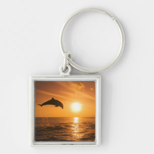 Bottlenose Dolphin jumping Key Ring