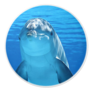 Bottlenose Dolphin looks at the camera under water Ceramic Knob