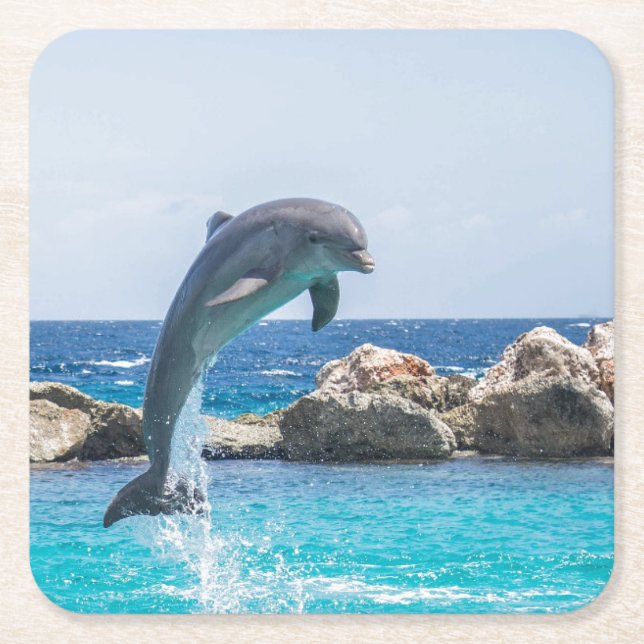 Bottlenose Dolphin Paper Coaster (Front)