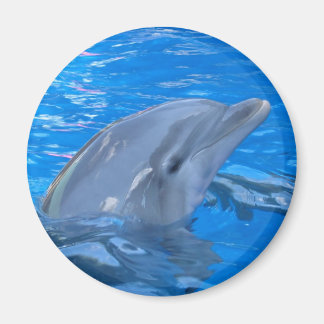 Bottlenose Dolphin Round Magnet