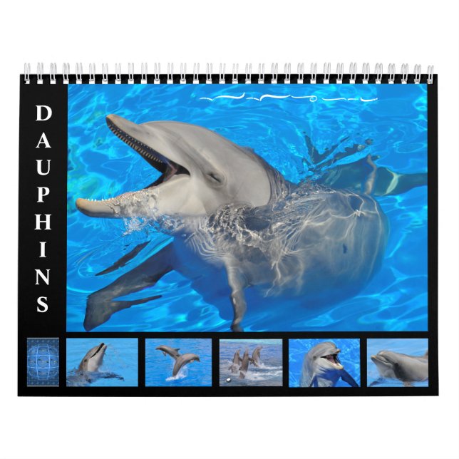 Bottlenose dolphins 12 month calendar (Cover)