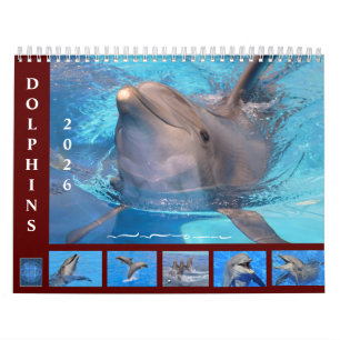 Bottlenose dolphins 12 month calendar