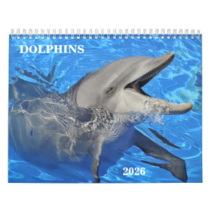 Bottlenose dolphins calendar