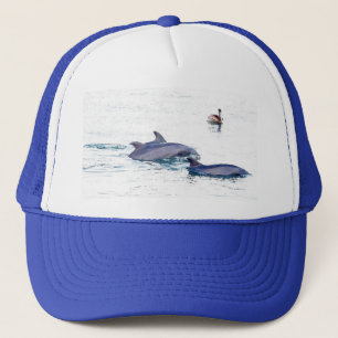 Bottlenose Dolphins Hat
